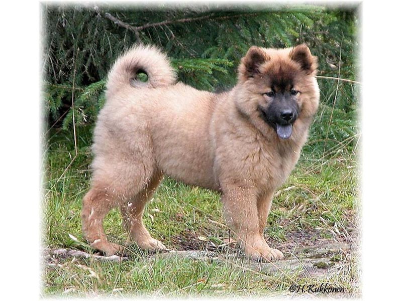 Siirry kuvagalleriaan