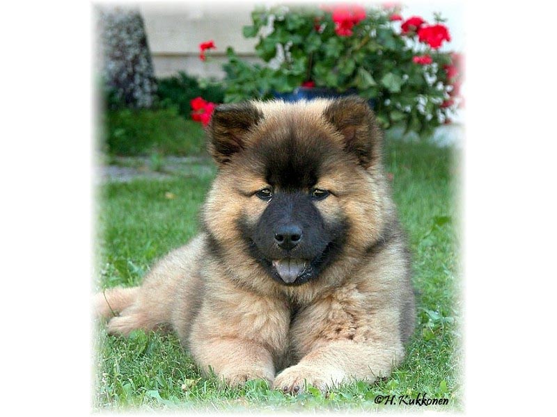 Siirry kuvagalleriaan