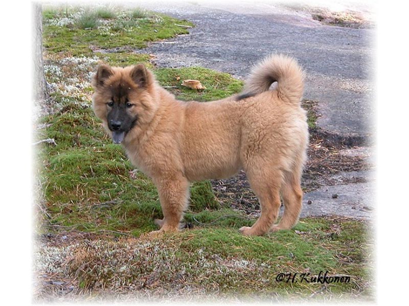 Siirry kuvagalleriaan