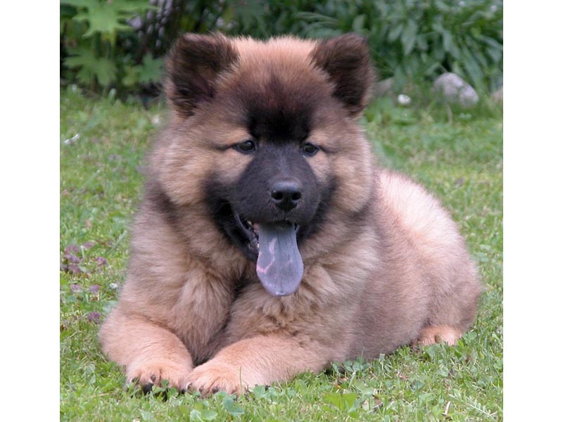 Siirry kuvagalleriaan