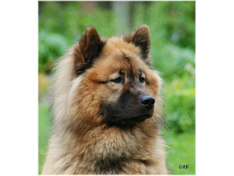 Siirry kuvagalleriaan