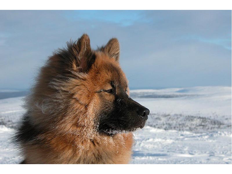 Siirry kuvagalleriaan