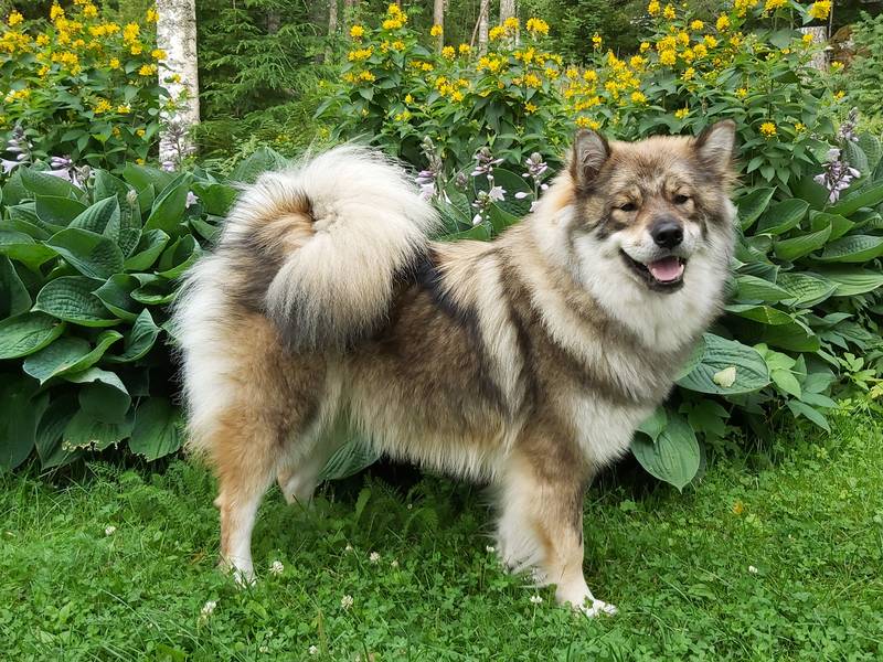 Siirry kuvagalleriaan