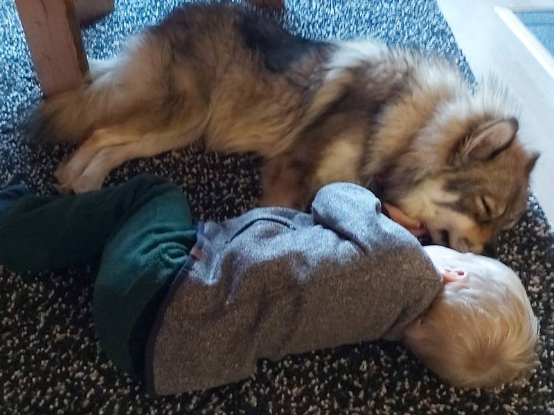 Siirry kuvagalleriaan