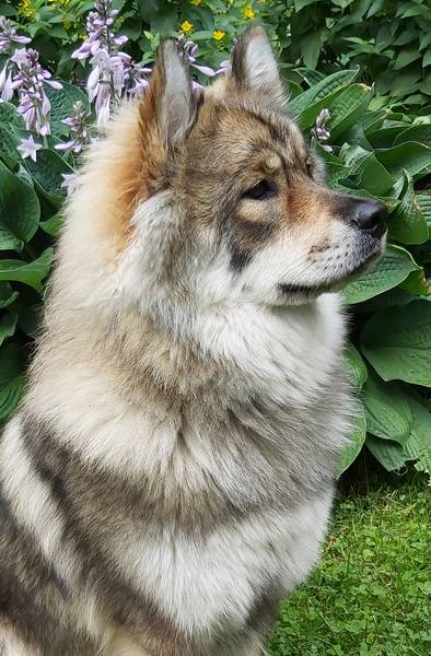 Siirry kuvagalleriaan