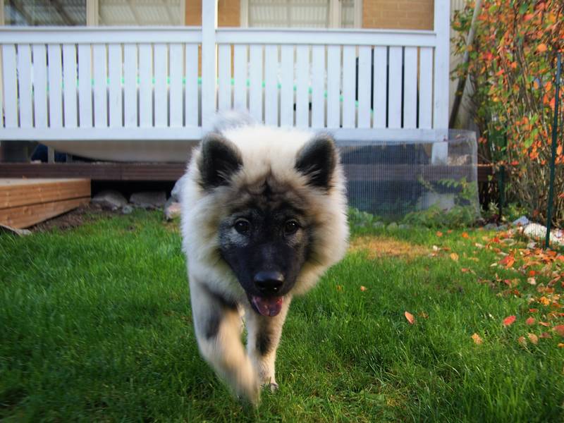 Siirry kuvagalleriaan