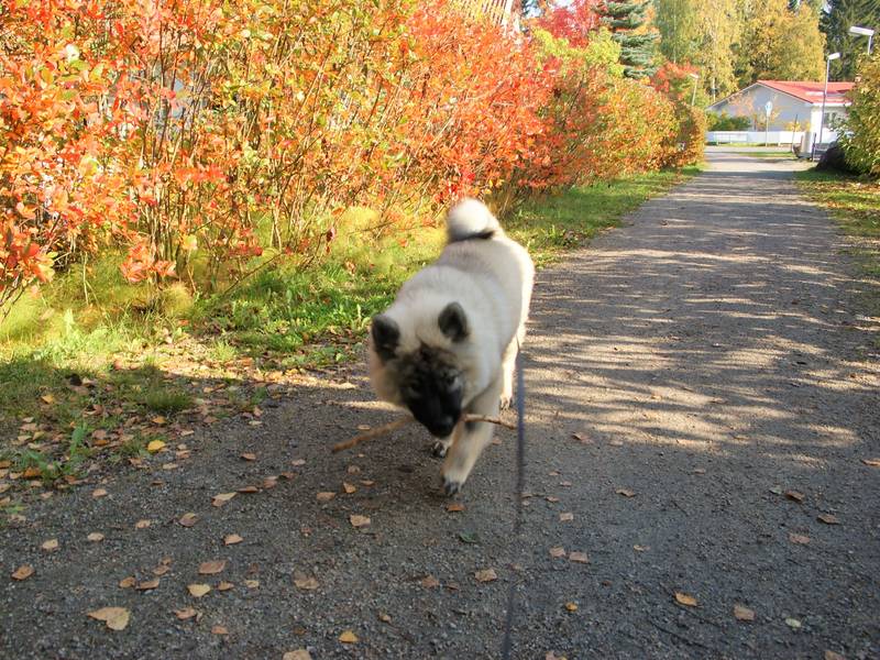 Siirry kuvagalleriaan