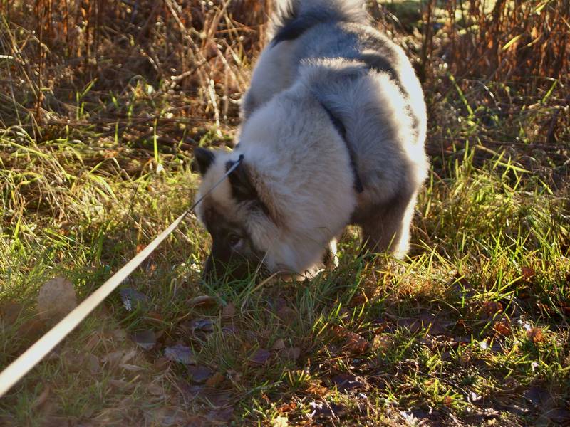 Siirry kuvagalleriaan