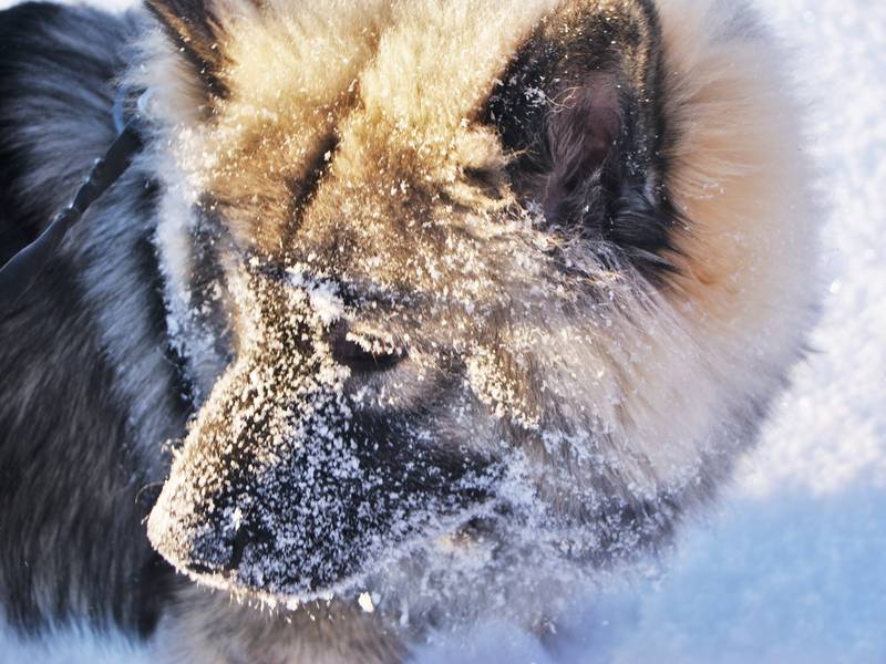 Siirry kuvagalleriaan