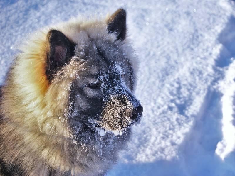 Siirry kuvagalleriaan