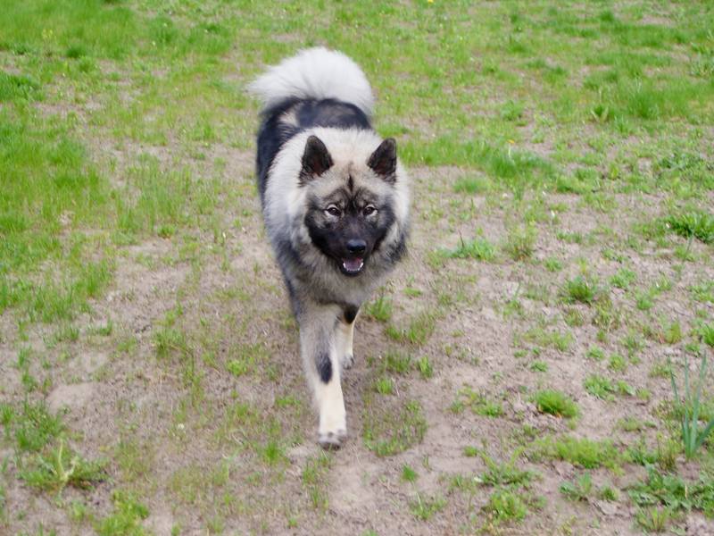 Siirry kuvagalleriaan