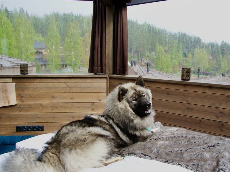 Siirry kuvagalleriaan