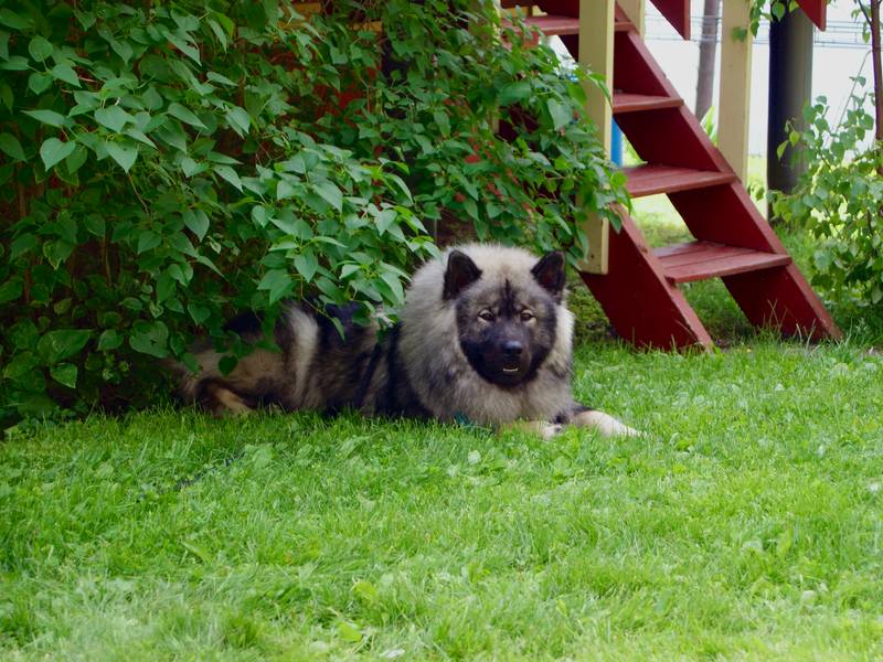 Siirry kuvagalleriaan