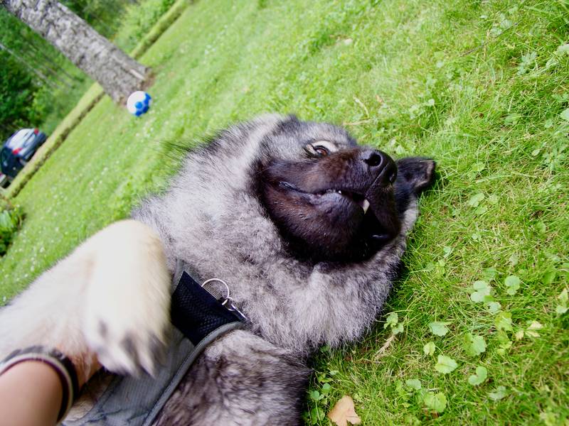 Siirry kuvagalleriaan