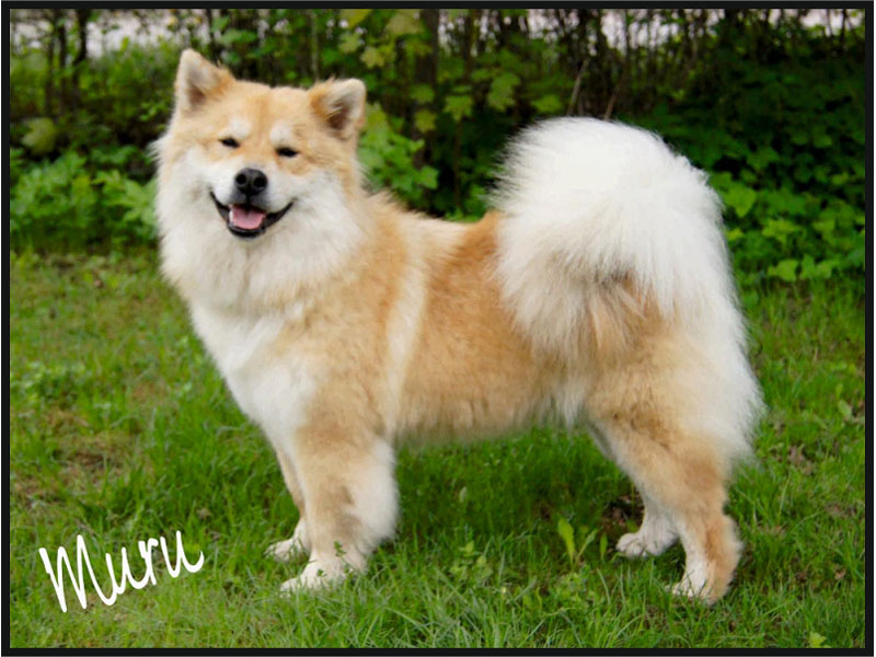 Siirry kuvagalleriaan