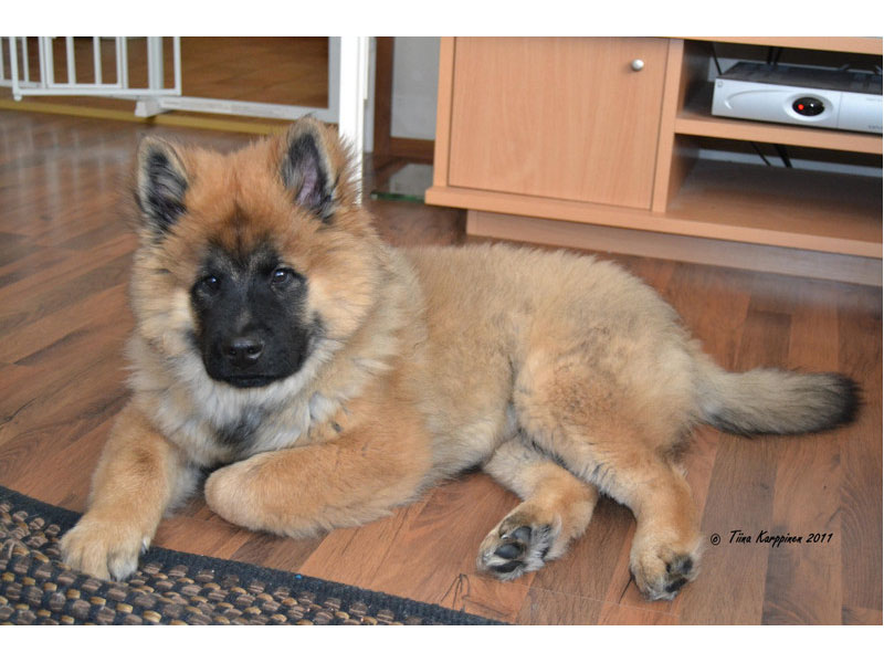 Siirry kuvagalleriaan