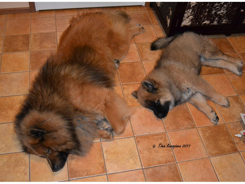 Siirry kuvagalleriaan