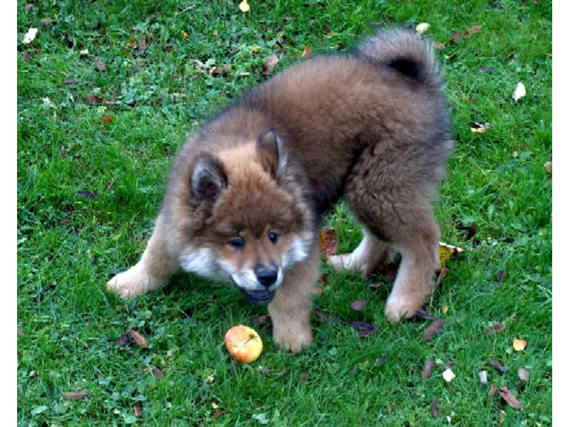 Siirry kuvagalleriaan