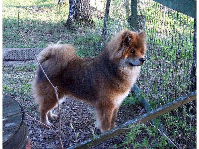 Siirry kuvagalleriaan