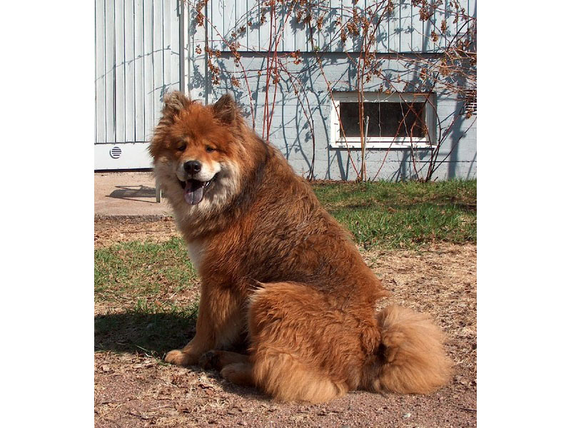 Siirry kuvagalleriaan