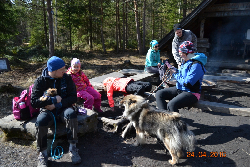 Kristallikuun Ametisti (Iita)