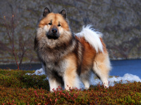 Syksy