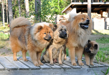 Kasvattajat Kasvattajat