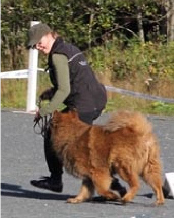 Kristallikuun Oiva Kristallikuun Oiva