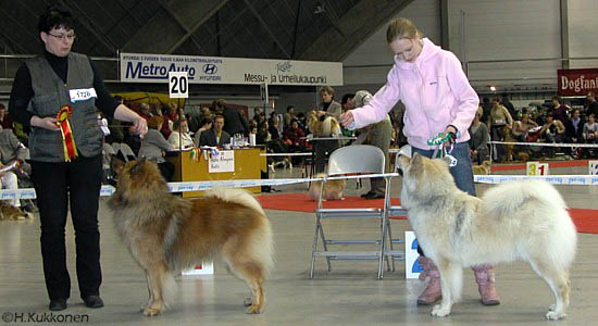 Eucham's Huckleberry & Blue Creek's Kiona Kalista