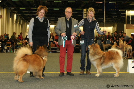 ROP-VET, PMVV-13: Cloudy Bay's Columbo & VSP-VET, PMVV-13: Leiionspitz Othina ROP-VET, PMVV-13: Cloudy Bay's Columbo & VSP-VET, PMVV-13: Leiionspitz Othina