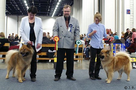 ROP, CACIB, PMV-05: FIN EST LV MVA V-03-04 JV-03 ESTV-05 Eucham's Huckleberry & VSP, CACIB, PMV-05: FIN MVA Bye Bye Love Fleur Of Eurasia