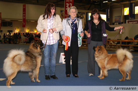 ROP, CACIB, PMV-09: Leiionspitz Unic & VSP, PMV-09: Redlance's Izzy ROP, CACIB, PMV-09: Leiionspitz Unic & VSP, PMV-09: Redlance's Izzy
