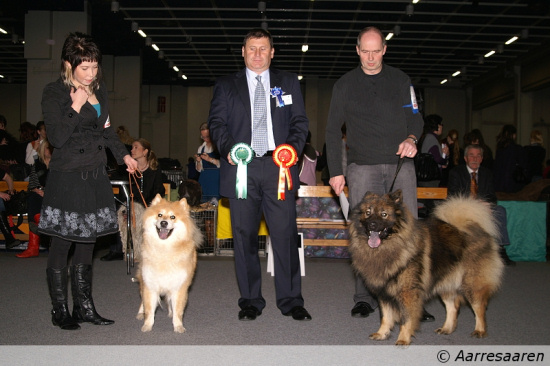 ROP, CACIB, V-09: Leiionspitz Raikuli Remy & VSP, CACIB, V-09: Feuerblick Ocarina