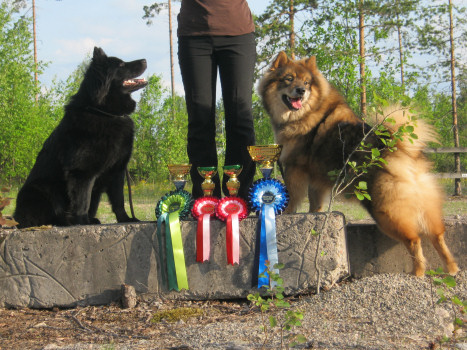 Karhunpesän Lumi-Hiutale BIS-4 & Karhunpesän Suhina Sindi BIS-2
