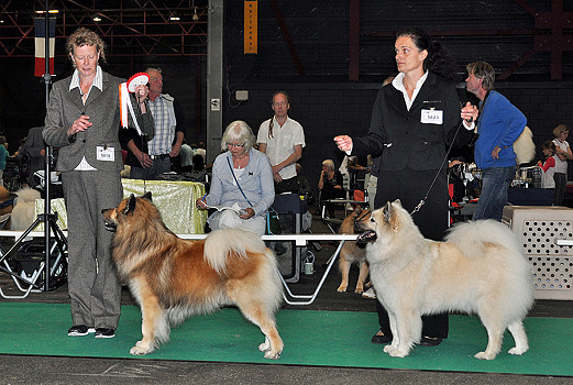 Monty von der kleinen Blaike & Fanakka's Demoiselle Soya