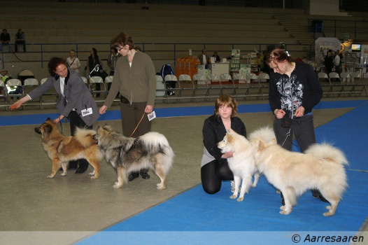 kennel Lumikedon