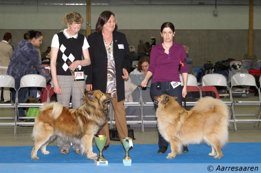 Monty von der kleinen Blaike & Blue Creek's Jetset Joliette