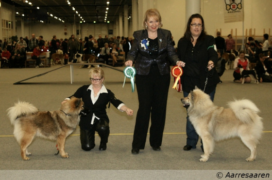 ROP, CACIB, V-11: Essente Ofedor Ostar & VSP, CACIB, V-11: Blueberry Kiss Barcelonnette