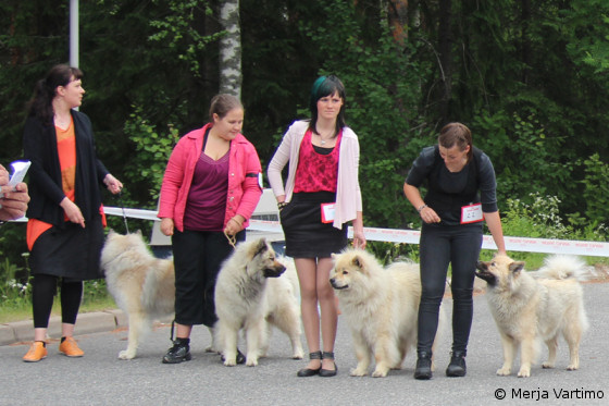 ROP-kasvattaja kennel Essente