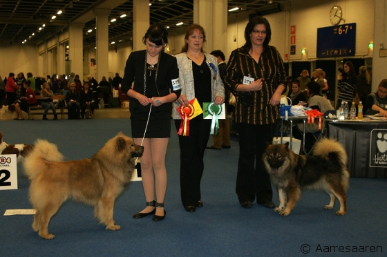ROP, CACIB, HeW-12: Milaika's Hjalte & VSP, CACIB, HeW-12: Karhunpesän Suhina Sidi