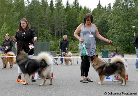 ROP Fridlyckan's Dixon & VSP Karhunpesän Suhina Sidi
