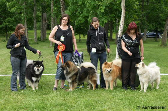 ROP-kasvattaja kennel Karhunpesän