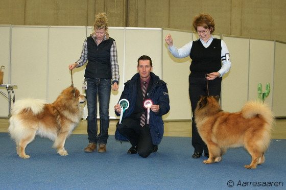 VSP-VET, VV-13: Cloudy Bay's Columbo & ROP-VET, VV-13: Leiionspitz Othina