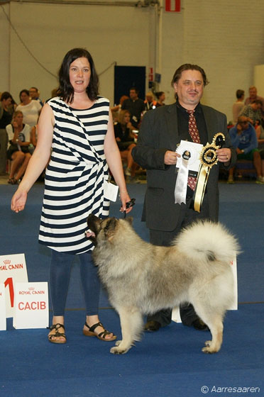 CACIB, MV-14: Milaika's Fenno Farouk