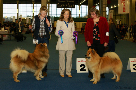 VET VSP, VV-14: Cloudy Bay's Columbo & VET ROP, VV-14: Essente Jafelie Jelda